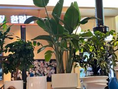 -韩一品韩国料理(柏庐南路店)