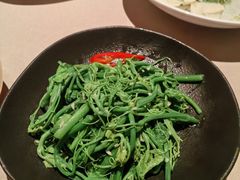 炝拌丝瓜尖-金鸭季·北京烤鸭(深业上城店)