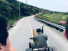 -大王村沙滩