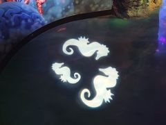 -沈阳海洋探索中心