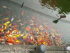 -无锡动物园·太湖欢乐园