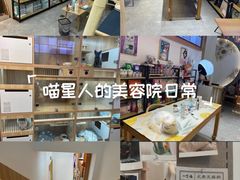 -山宅一喵德文卷毛猫舍