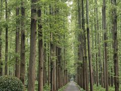-上海怡沁园度假酒店