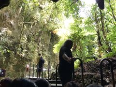 -怀托摩萤火虫洞