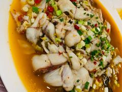 香辣乌鱼片-飞虹鱼馆(春华路店)