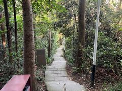 -水濂山森林公园