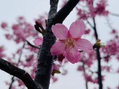 -艾溪湖湿地公园