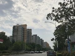 -紫荆广场·花漫里