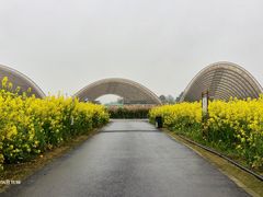 -中国天府农业博览园