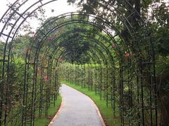 -福建鲤鱼洲酒店