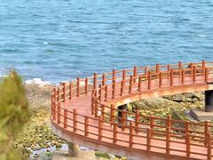 -养马岛旅游度假区
