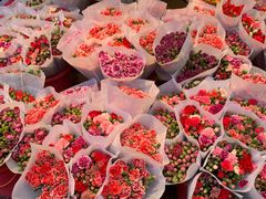 -循礼门鲜花花市(武汉循礼门店)