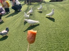 -南通洲际绿博园