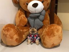 -醉香园(长江北路店)