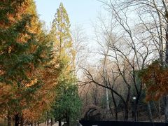 -白水寺森林公园