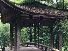 -杭州黄龙洞