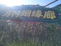 -济南方特东方神画