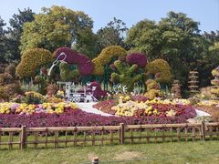 -上海共青森林公园