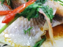 -寻味顺德·南记酒家·传统顺德菜·鱼生(广源路店)