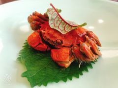 -九福楼大酒店