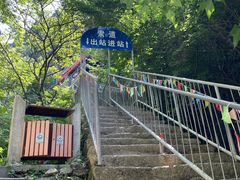 -王顺山国家森林公园