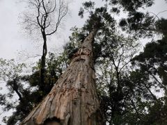 -狼山风景名胜区