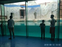 -秦皇岛乐岛海洋王国