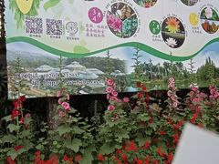 -华南国家植物园-售票处