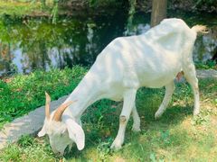 -前小桔亲子创意农场·草莓采摘·露营烧烤