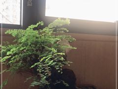 -梅间堂茶馆(绿地缤纷城店)