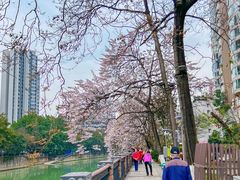 -红星桥(地铁站)