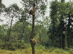 -重庆雨台山风景区