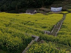 -四明山国家森林公园