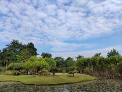 -中国科学院西双版纳热带植物园