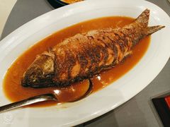 红烧黄河大鲤鱼-阿庄新豫菜(航海东路店)