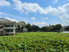 -荔湾湖公园
