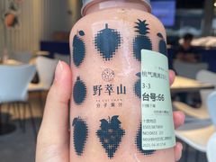 -野萃山·潮汕厚果汁(十亩地店)