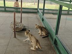 -秦皇岛野生动物园