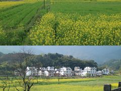 -婺源风景区