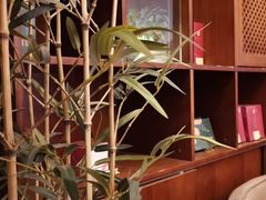 -端艾堂·SPA·艾灸(棕榈泉013店)