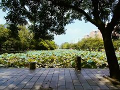 -广西大学(大学东路校区)
