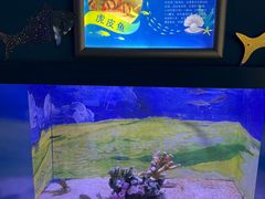 -常州海昌海洋探索馆