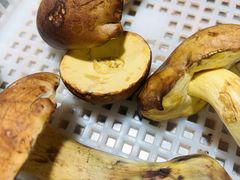 -菌之家·专业纯野生菌火锅·特色炒菌