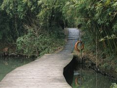 -西溪国家湿地公园