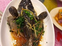 -新渔享海鲜餐厅(广海渔人码头店)