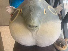 -肆月河豚·新淮扬(金融街店)