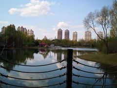 -群力丁香公园
