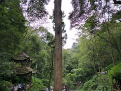 -青城山