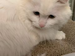 -晋乡亲刀削面(东风桥东店)