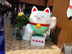 -猫咪博物馆(顶澳仔猫街店)